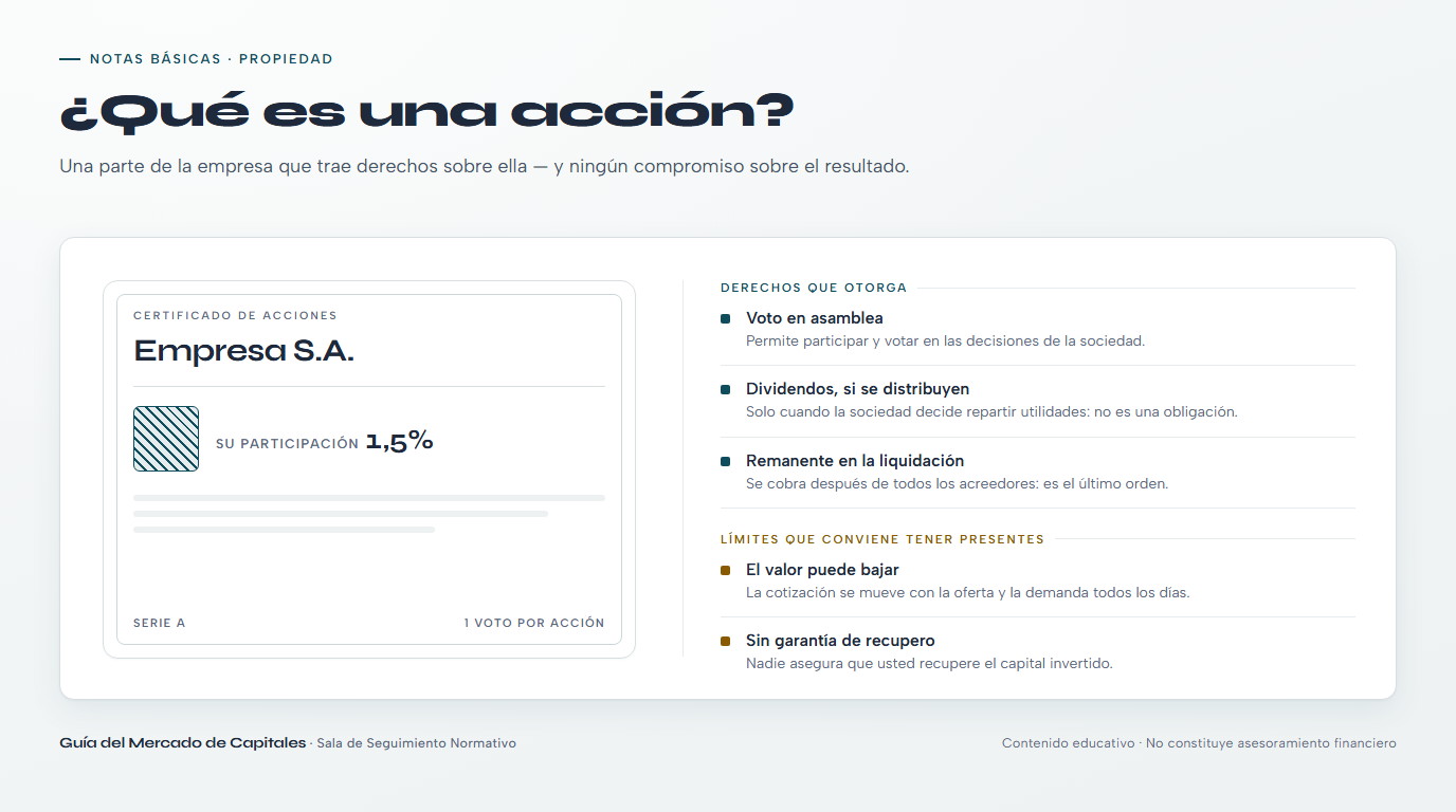 Ilustración de un documento de propiedad accionaria como introducción al concepto de acción para principiantes